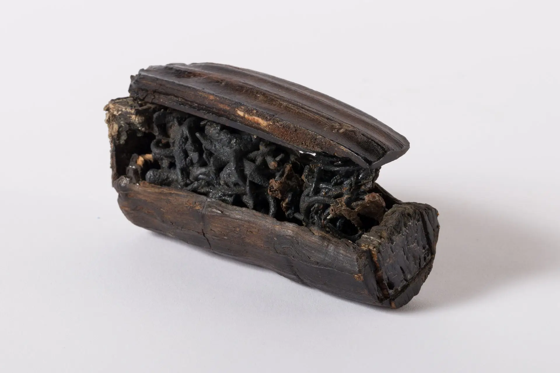 Scatolina lignea con ami da pesca concrezionati al suo interno